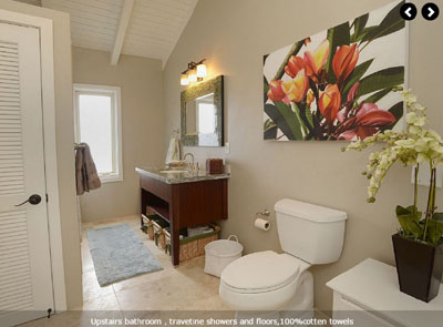 Maui House rental bathroom