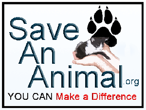 save an animal organization