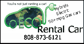 Go to ecorentalcar.com