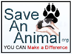 Go to save an animal.org